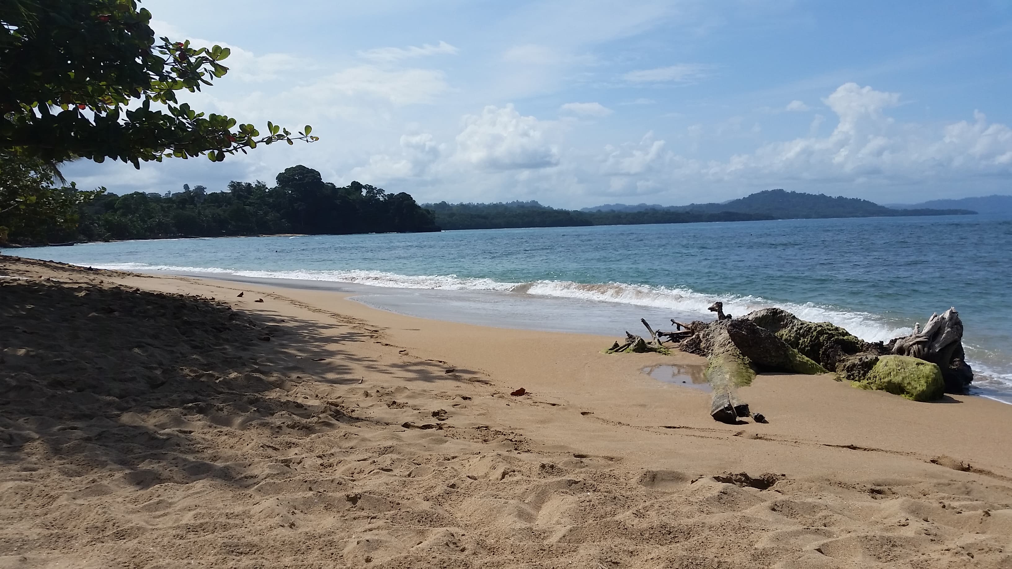 Sea and beach view