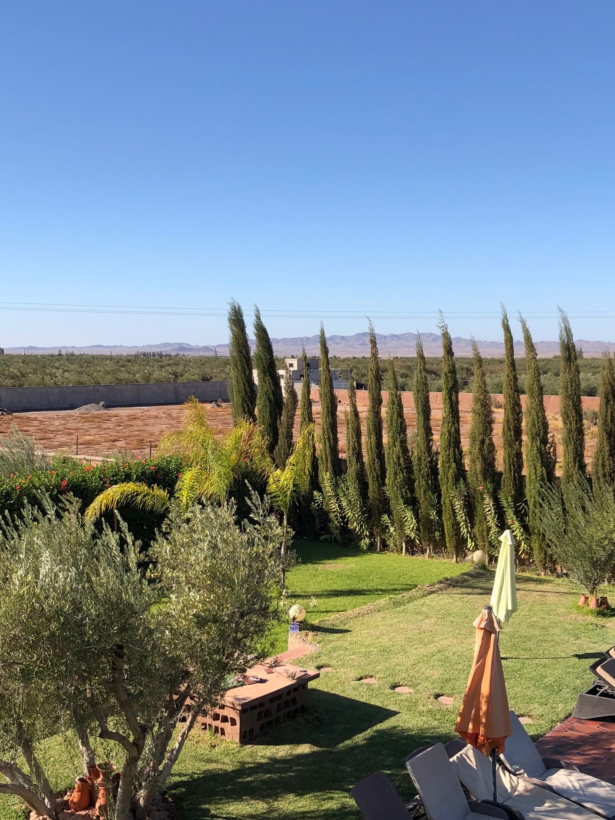 Making Memories in Marrakesh curated by Bethany Bloom