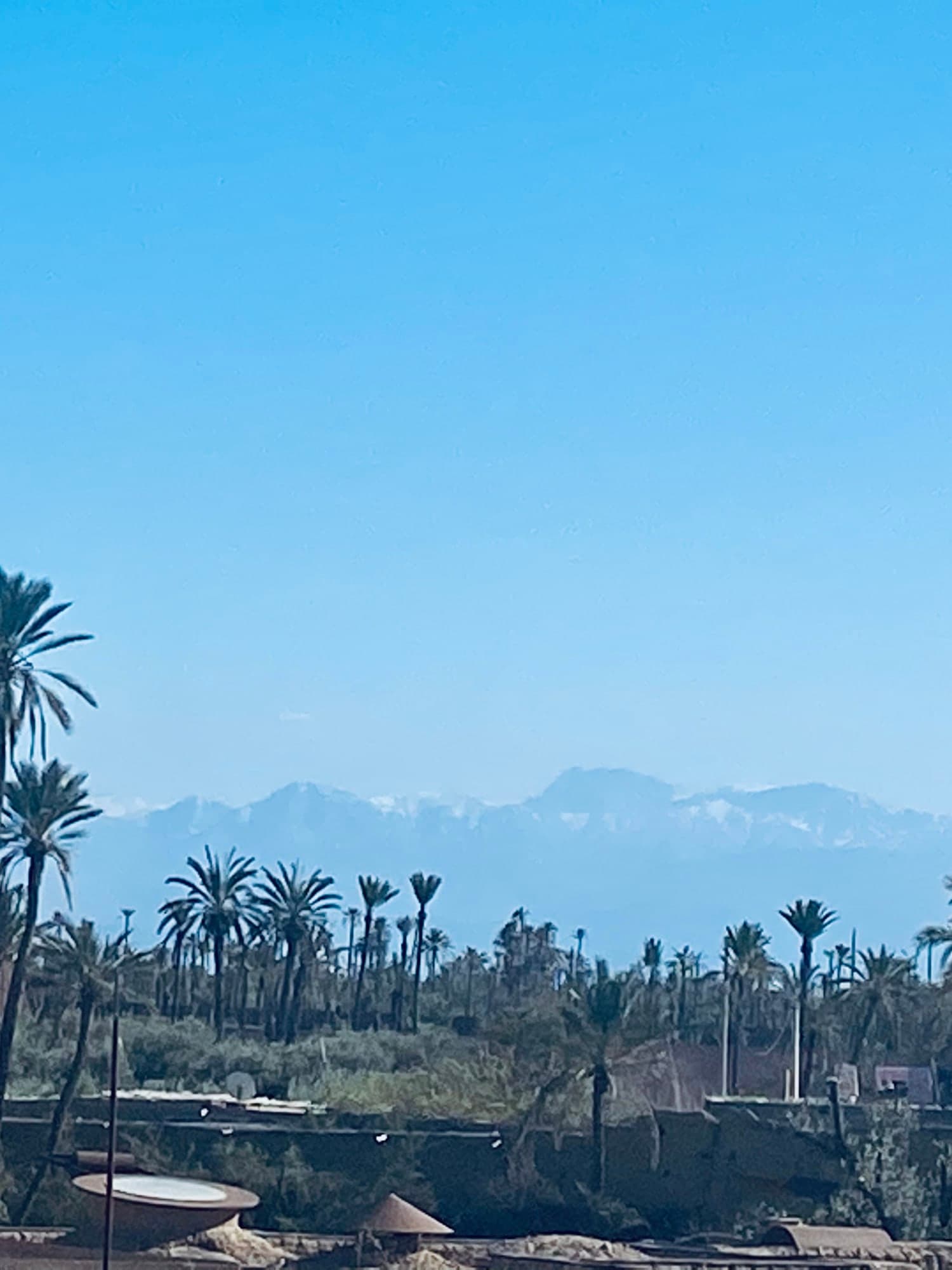 Morocco Holds a Special Place in My Heart curated by Wieteke Maris