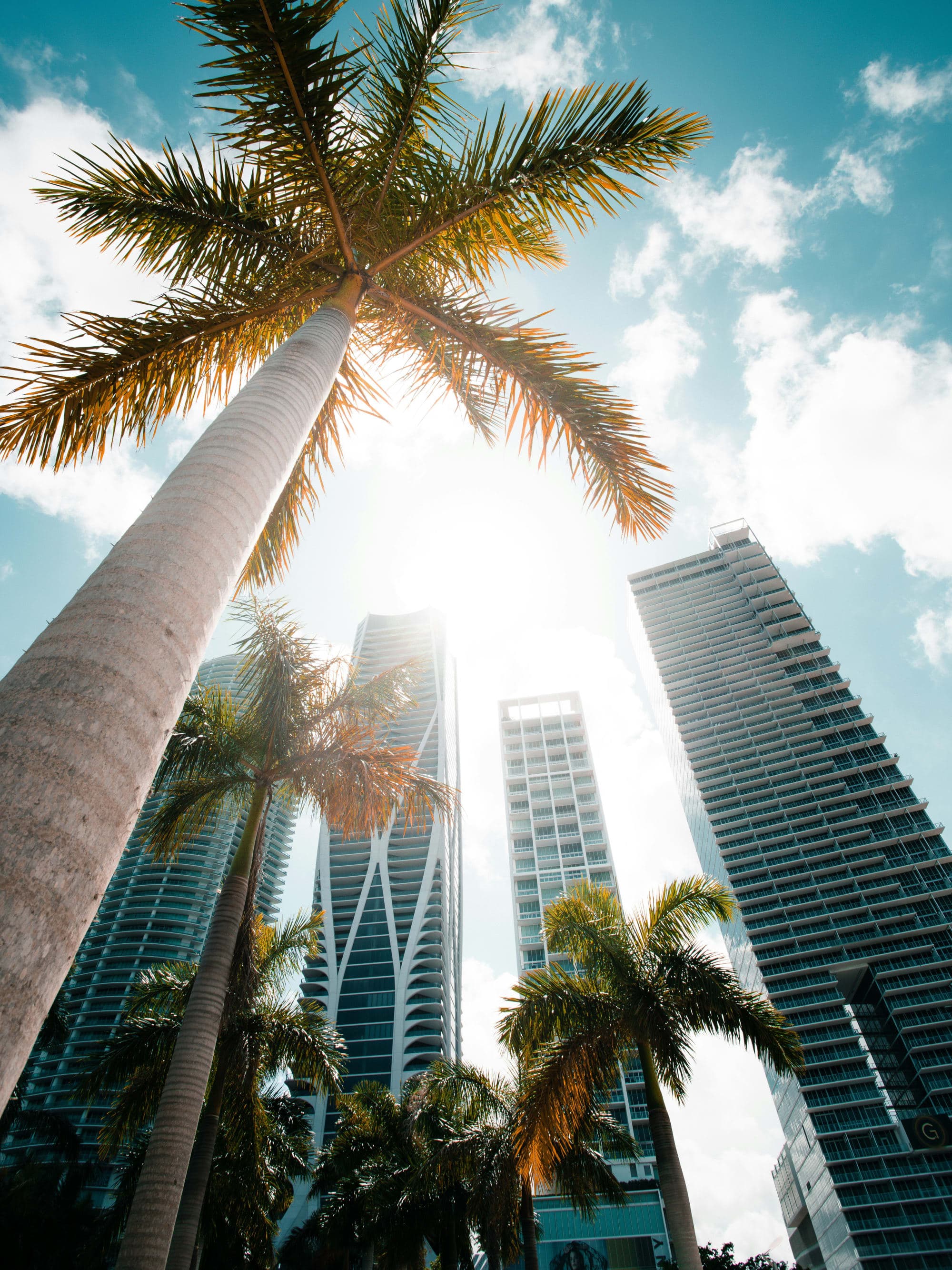 Explore Miami: Activities, Design and Nightlife curated by Matthew Crocker