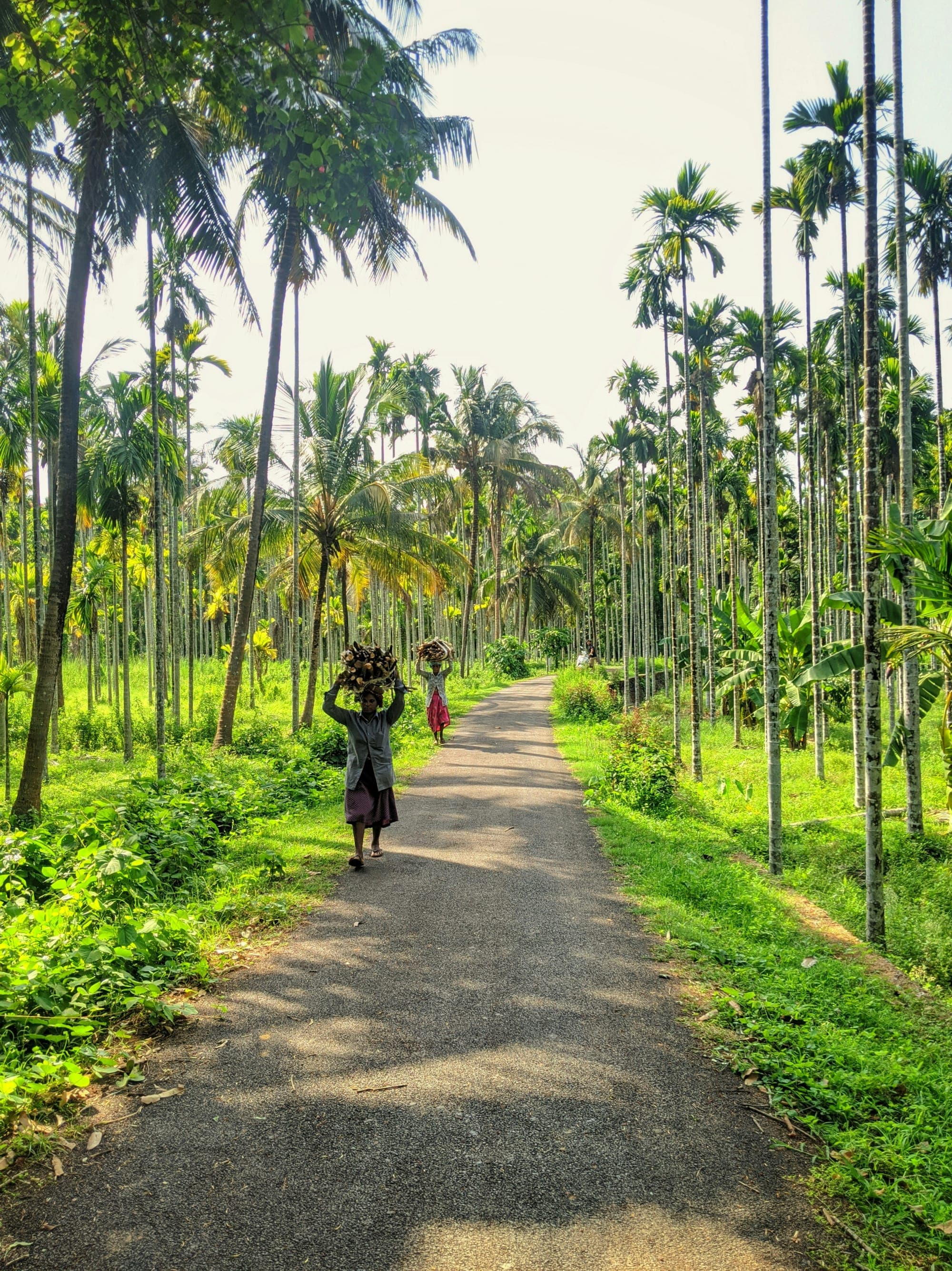 Sustainable Tourism practices in Kerala, India curated by Matthew Crocker