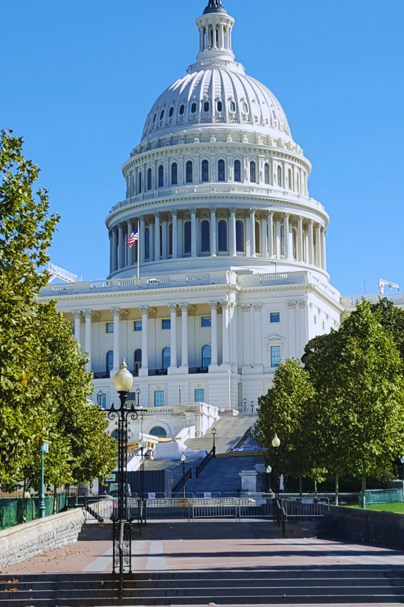 Conquering DC With Kids: A Three-Day Itinerary curated by Kelley Durham