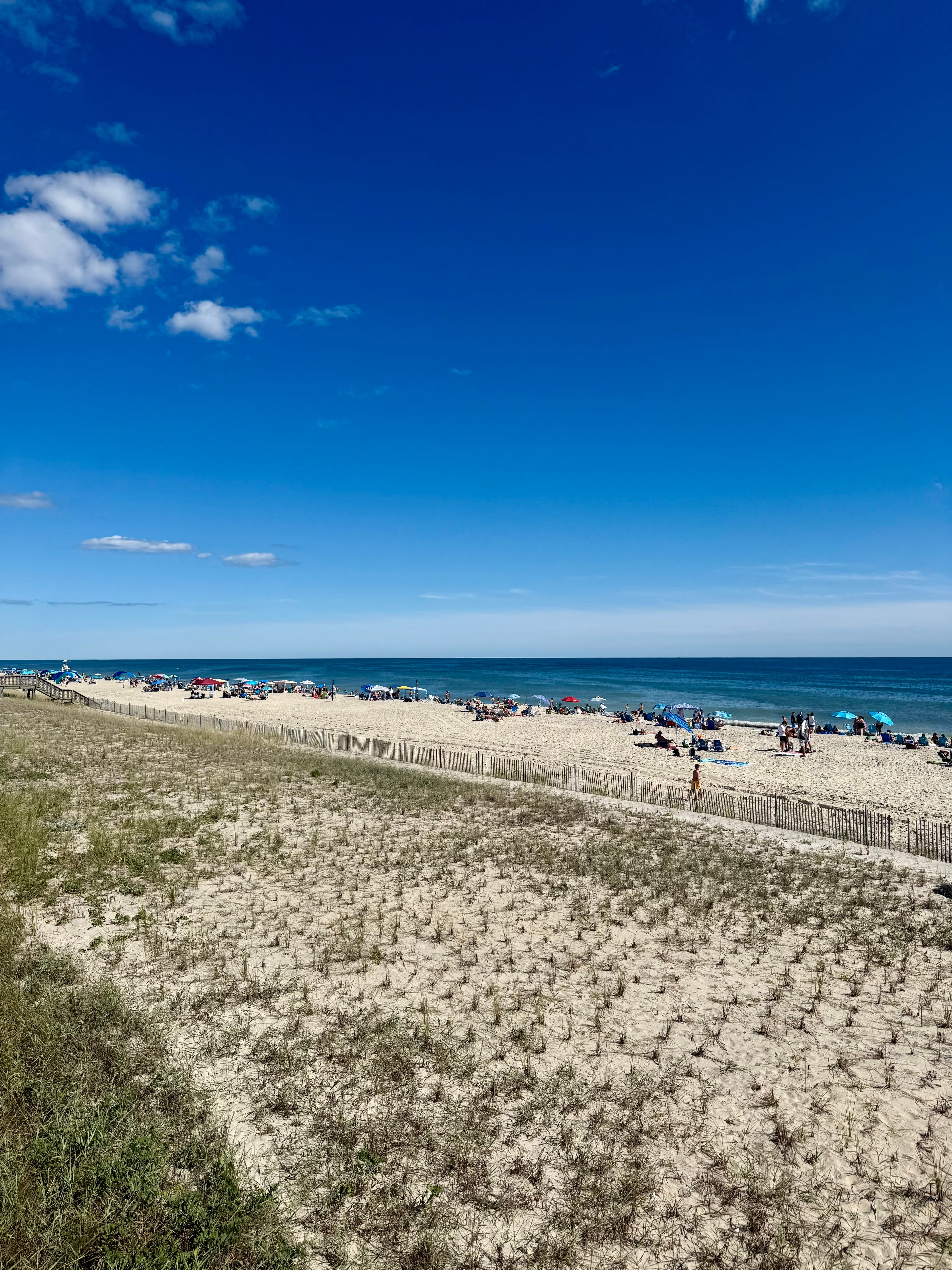 The Guide to Fire Island, New York curated by Casey Stein