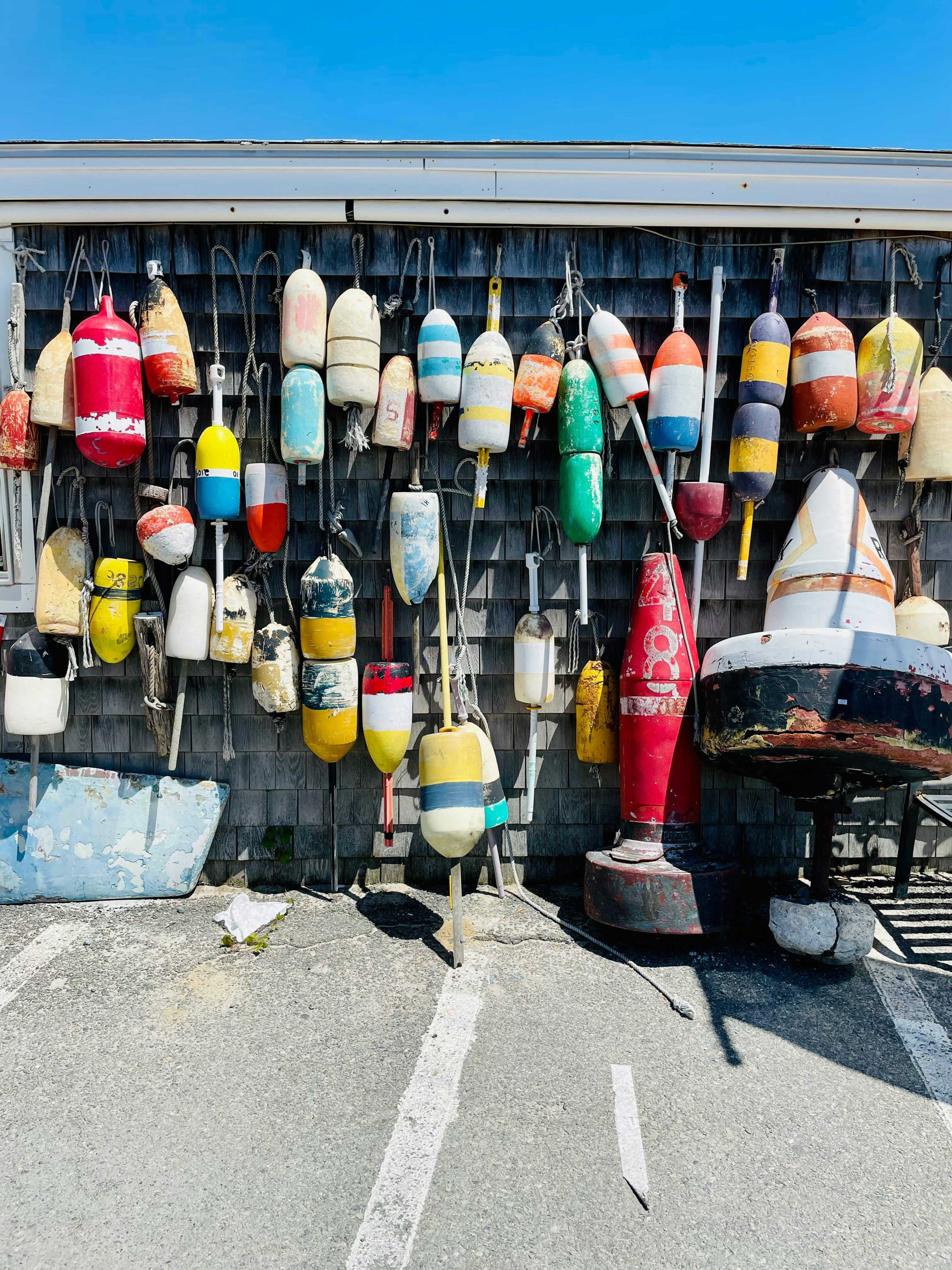 The Ultimate Guide to Cape Cod: Adventures for the Whole Family curated by Jennifer Gedman