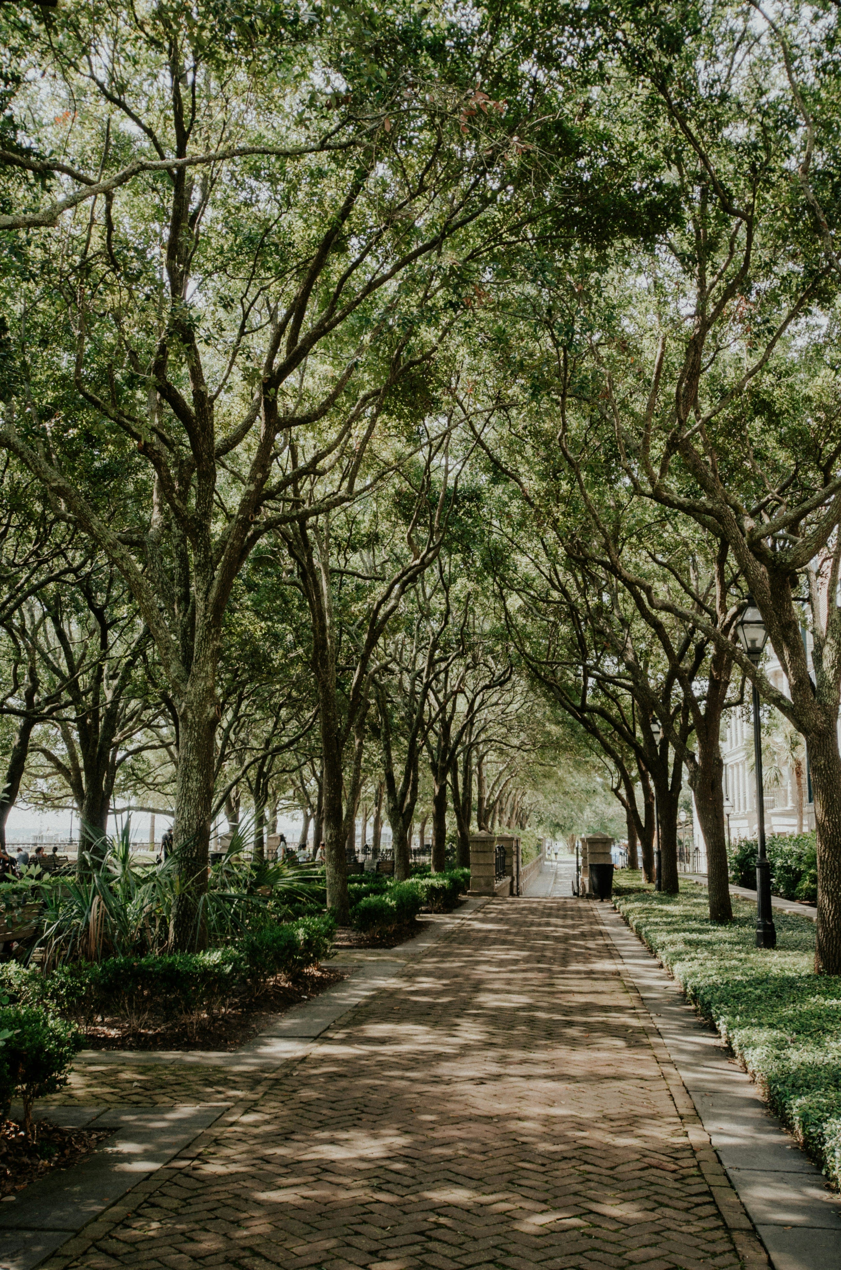 Girls' Trip to Charleston curated by Chelsea Smith