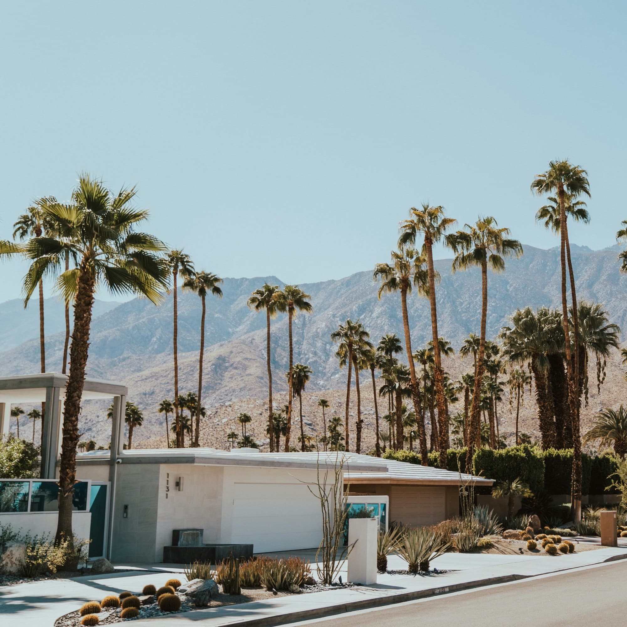 A view of palm trees behind a white house with a mountain in the background.