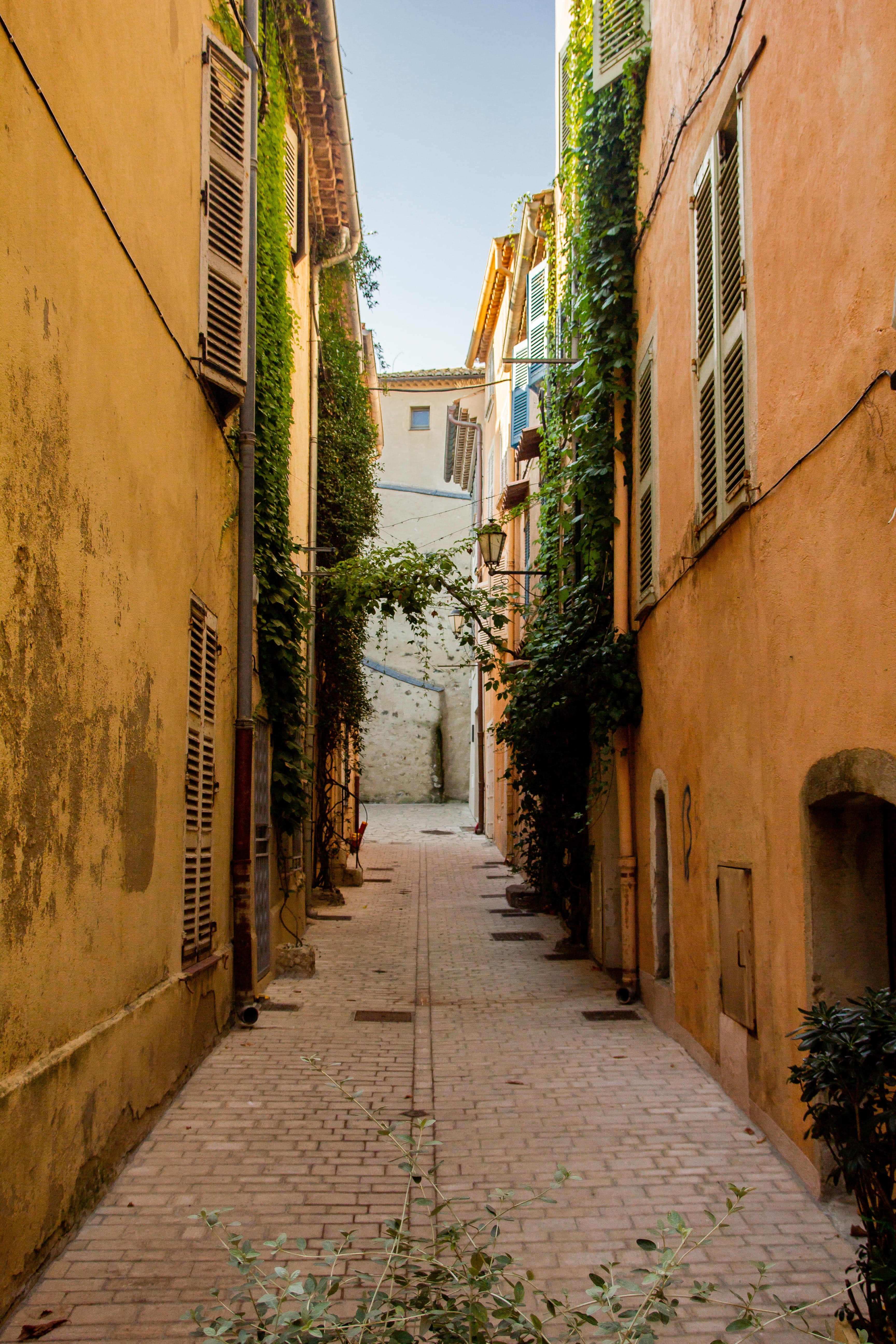 Empty pebble-stone street in Saint Tropez, flanked by yellow buildings and hanging ivy plants.