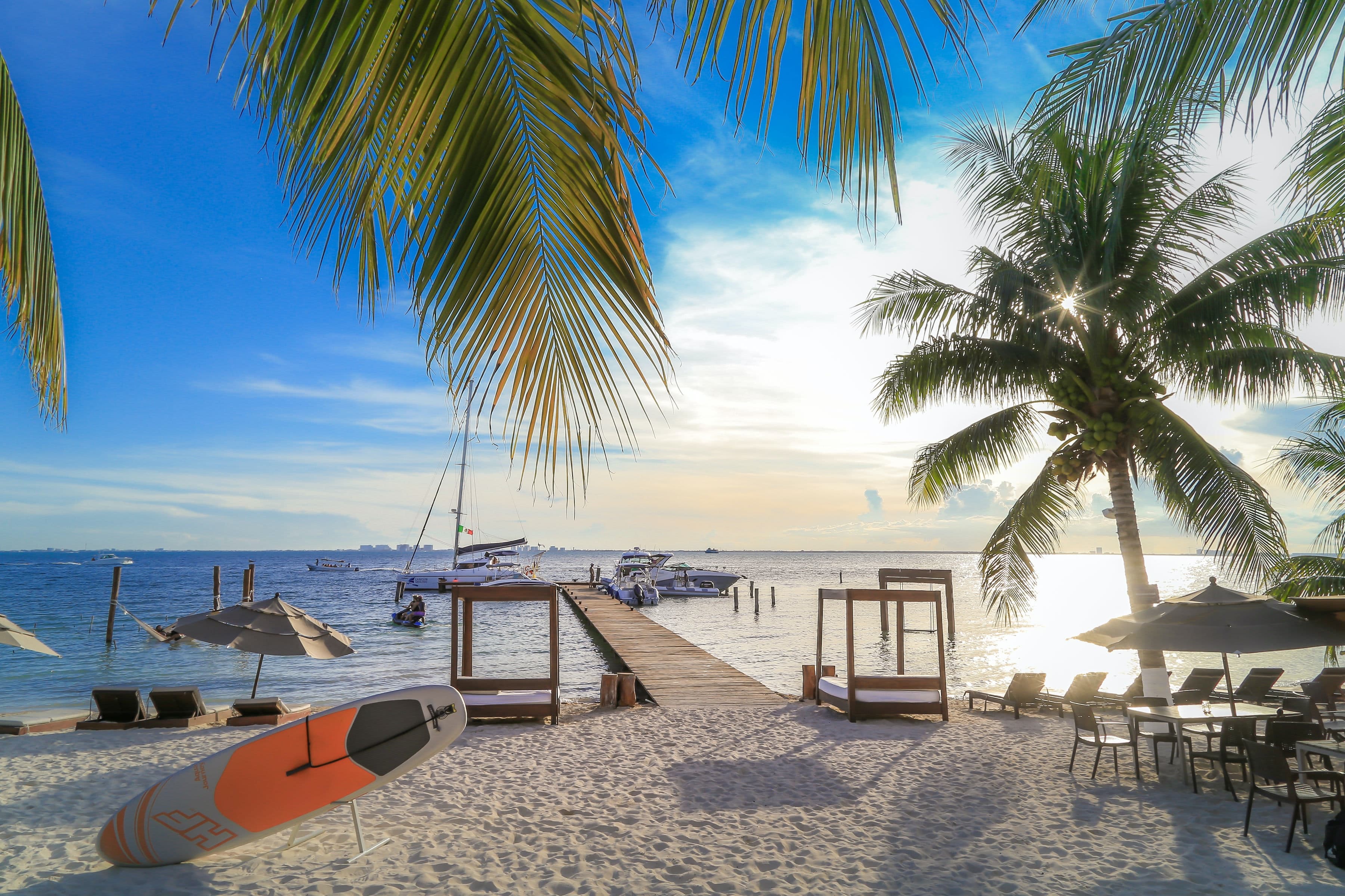 beach with palm trees with sunny skies