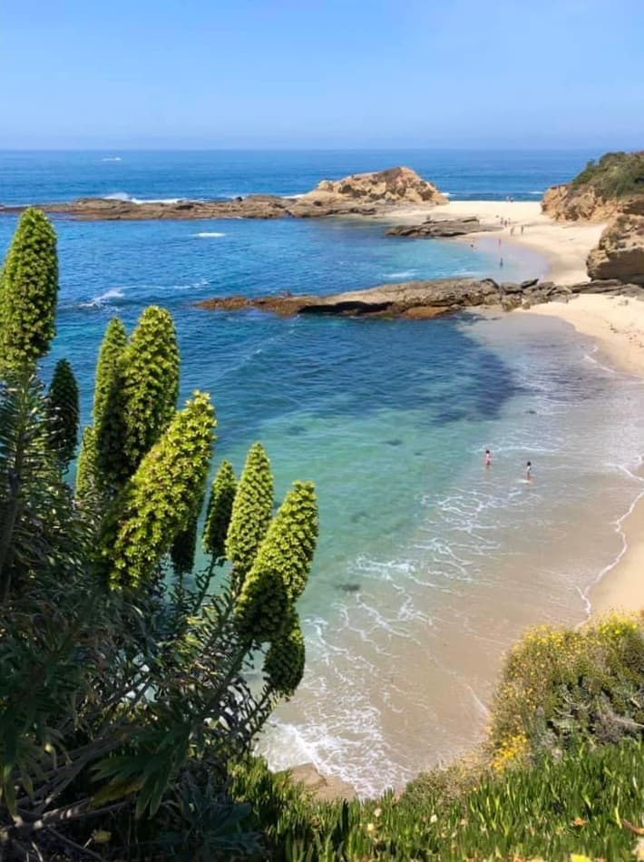 An aerial view of the beach in the daytime.
