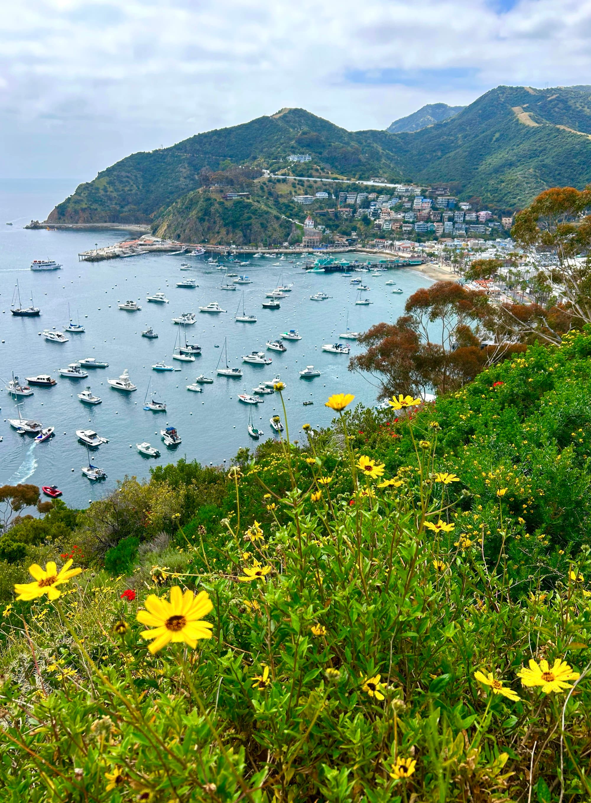 Aerial view of hills next to a body of water with lots of boats in it