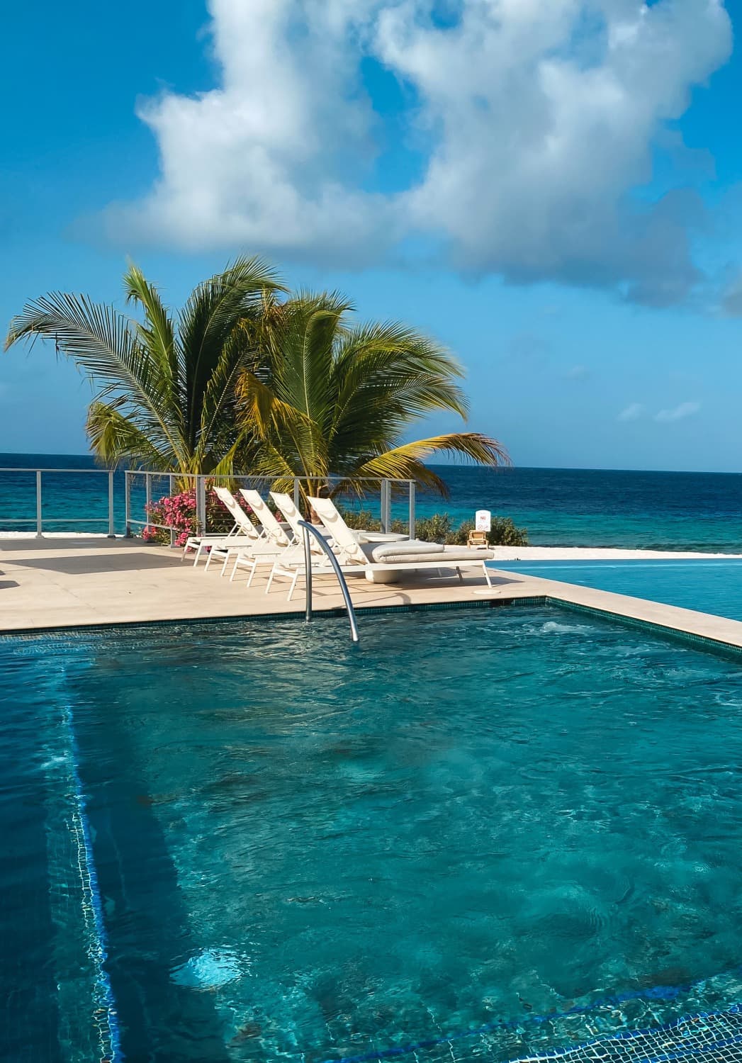 View of the pool with palm trees and clouds in the background.