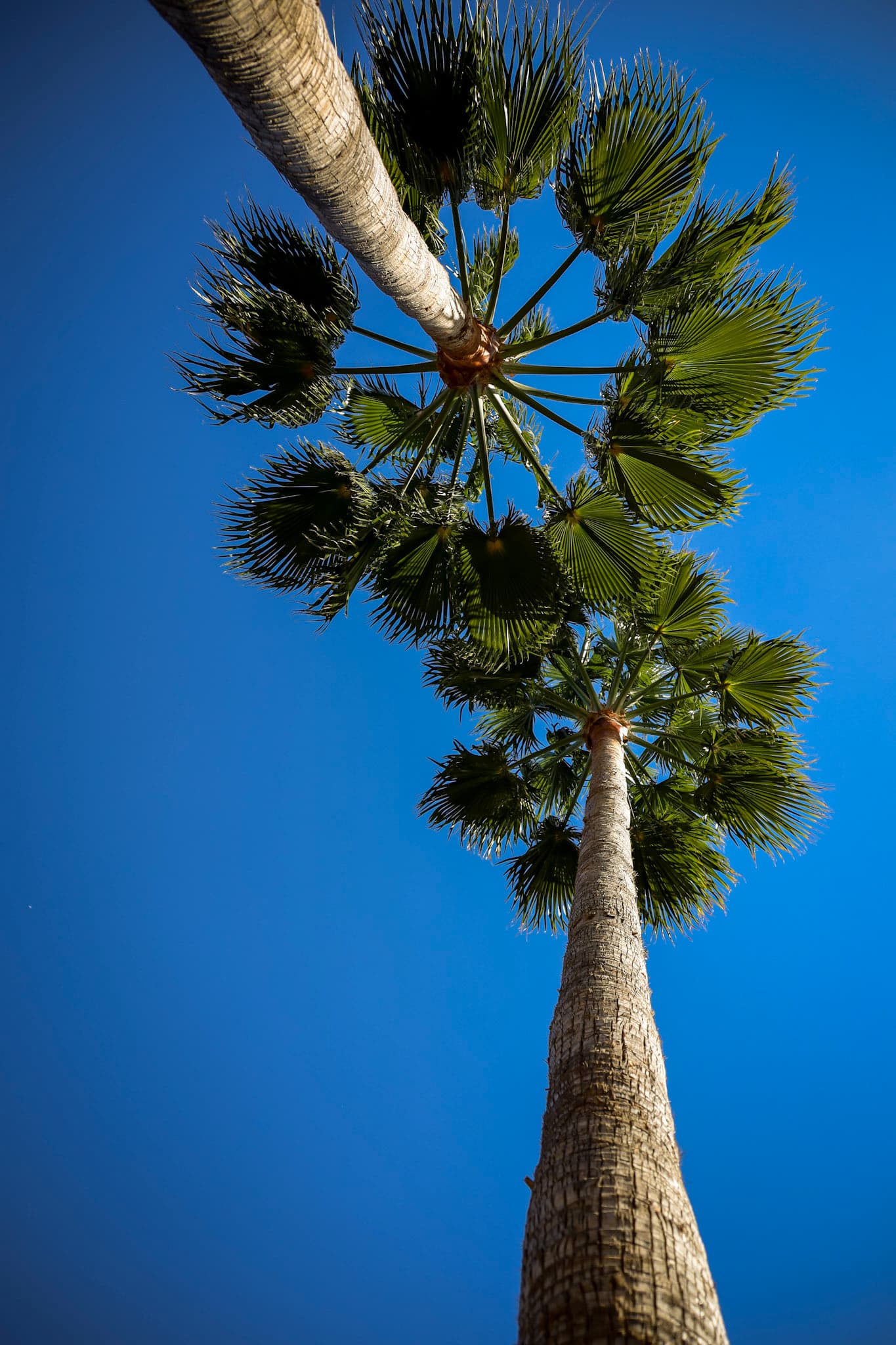Travel photo 4