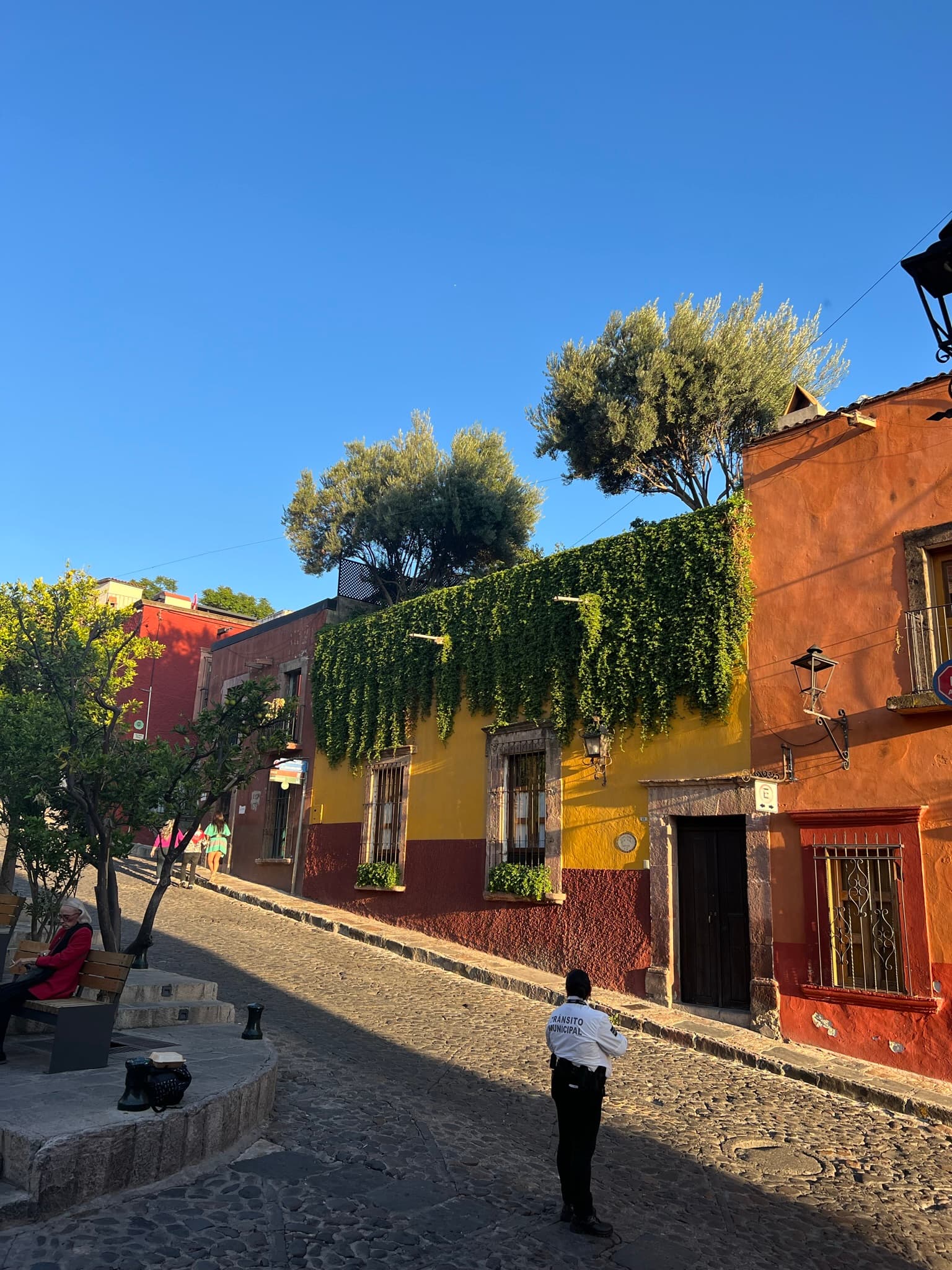 The Colors of San Miguel de Allende curated by Carla Perez