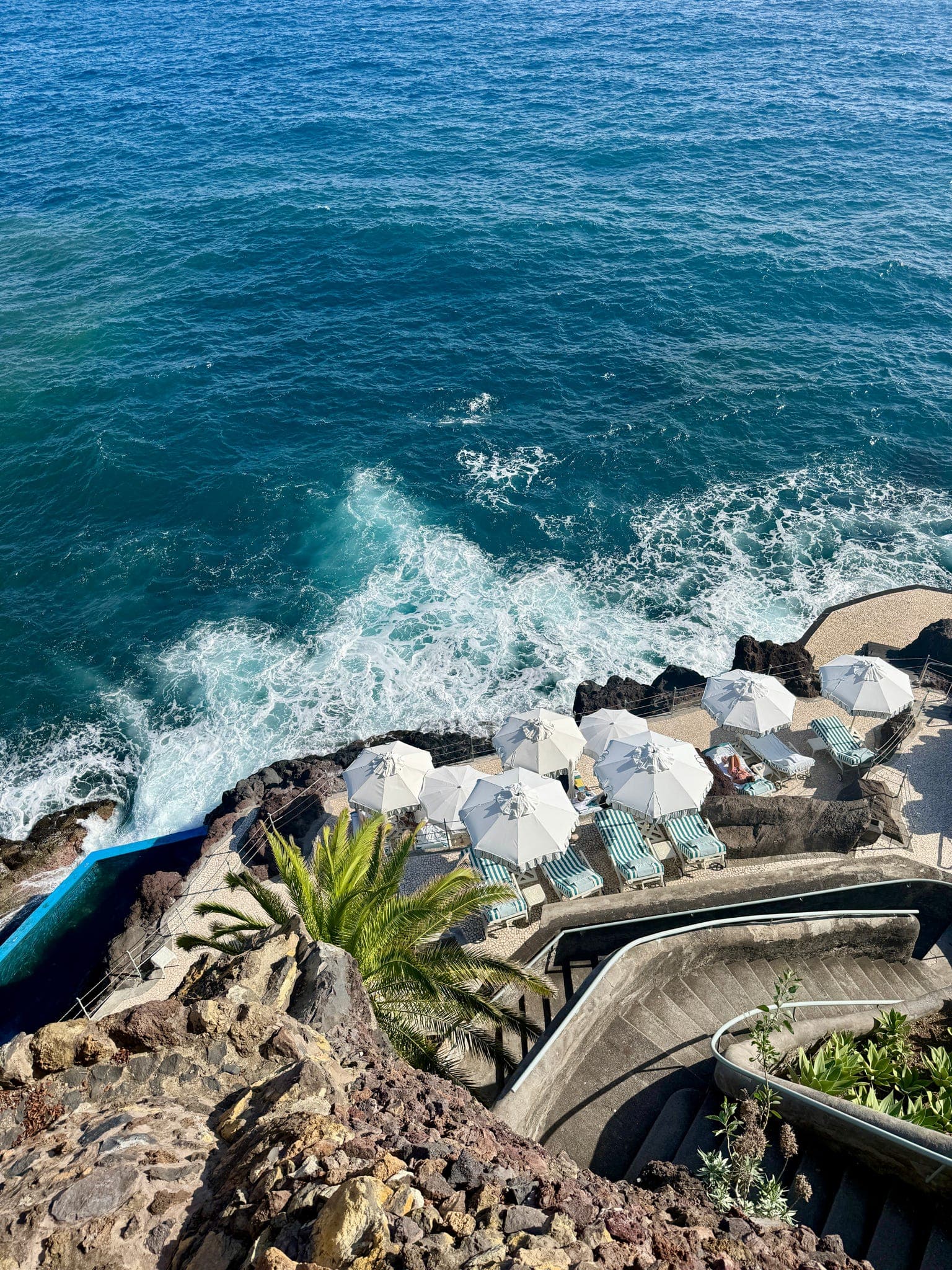 Madeira: A Comprehensive Guide curated by Wendy Wallace