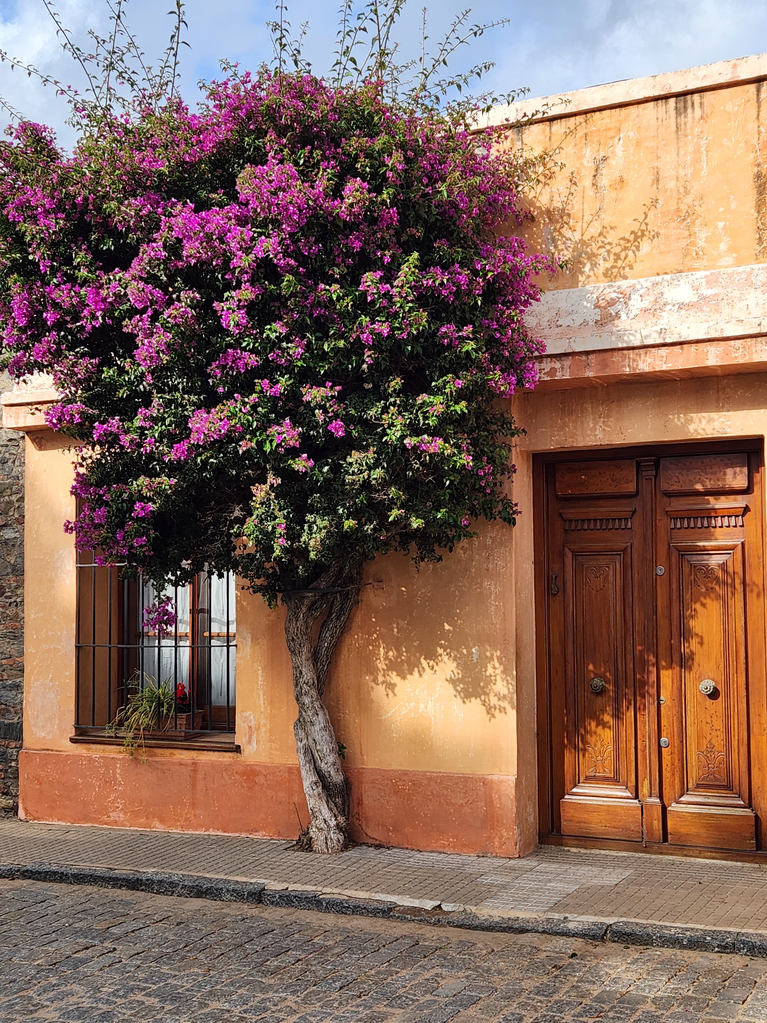 5 Days in Montevideo: Streets, Sea Breezes & Day Trips Worth Taking curated by Martha Jimenez