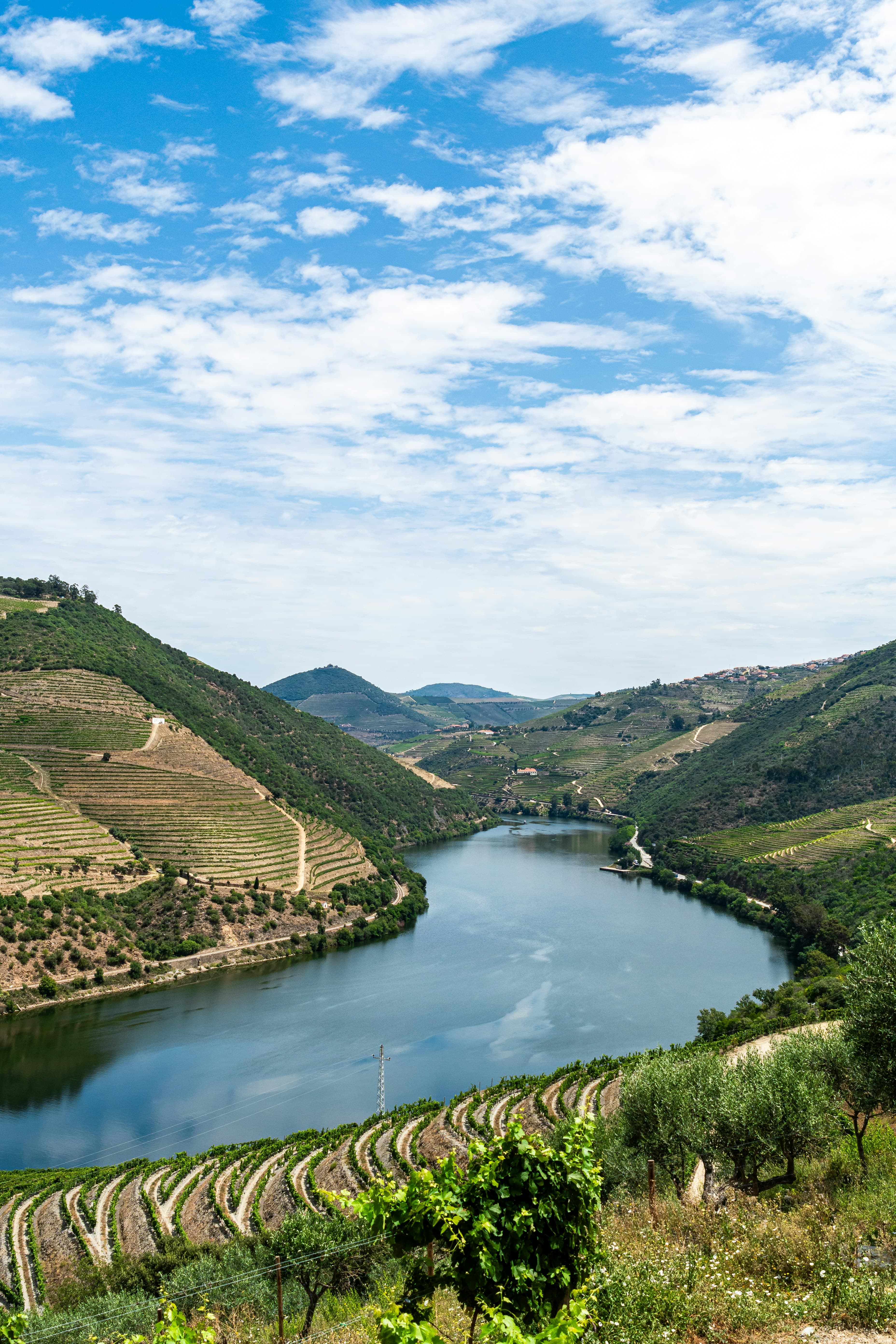 Beyond the Porto Day Trip: A 4-Day Intentional Journey Through the Douro Valley curated by Marc Scholnick