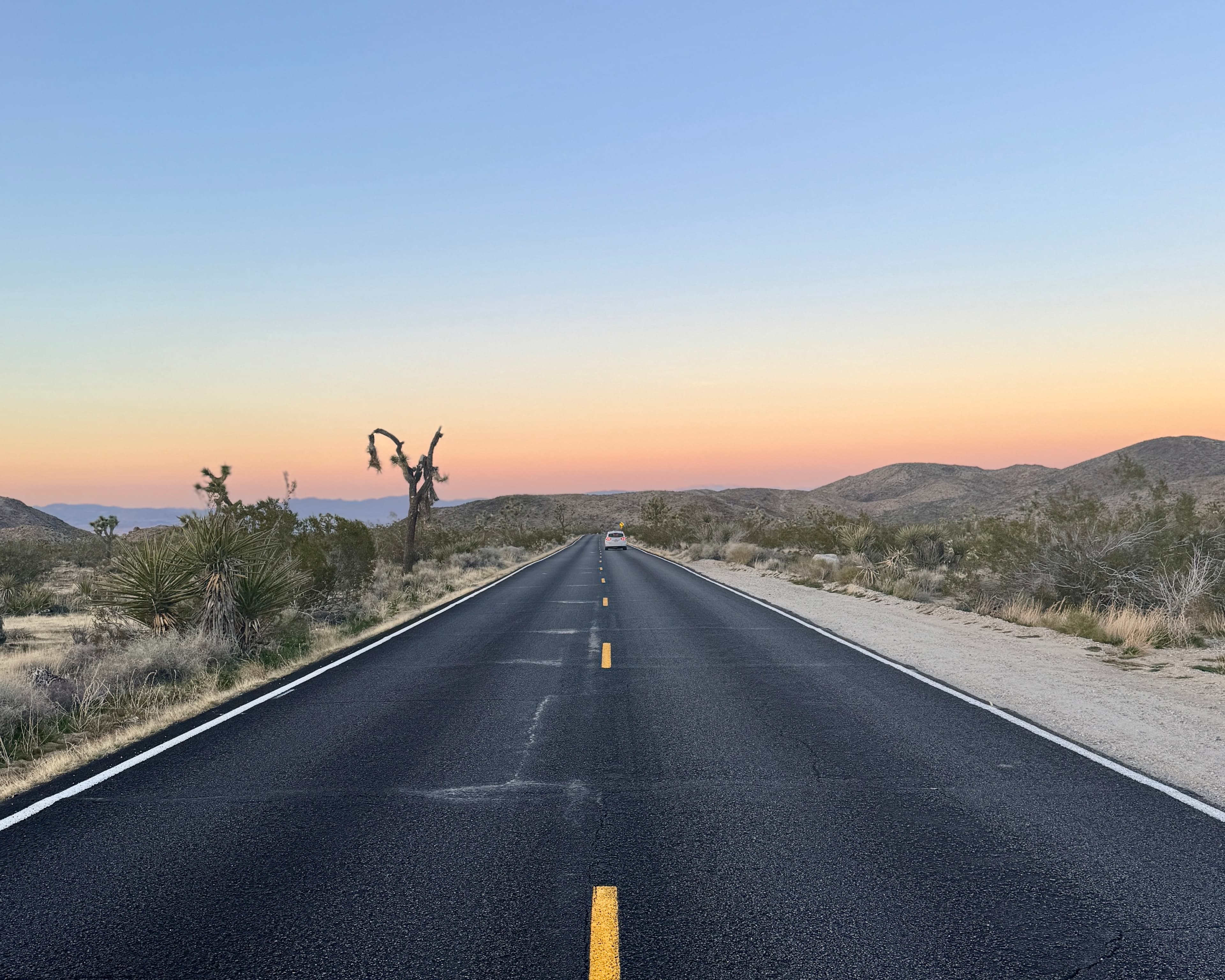 4-Day California Road Trip: Palm Springs, Joshua Tree & Santa Monica curated by Wieteke Maris