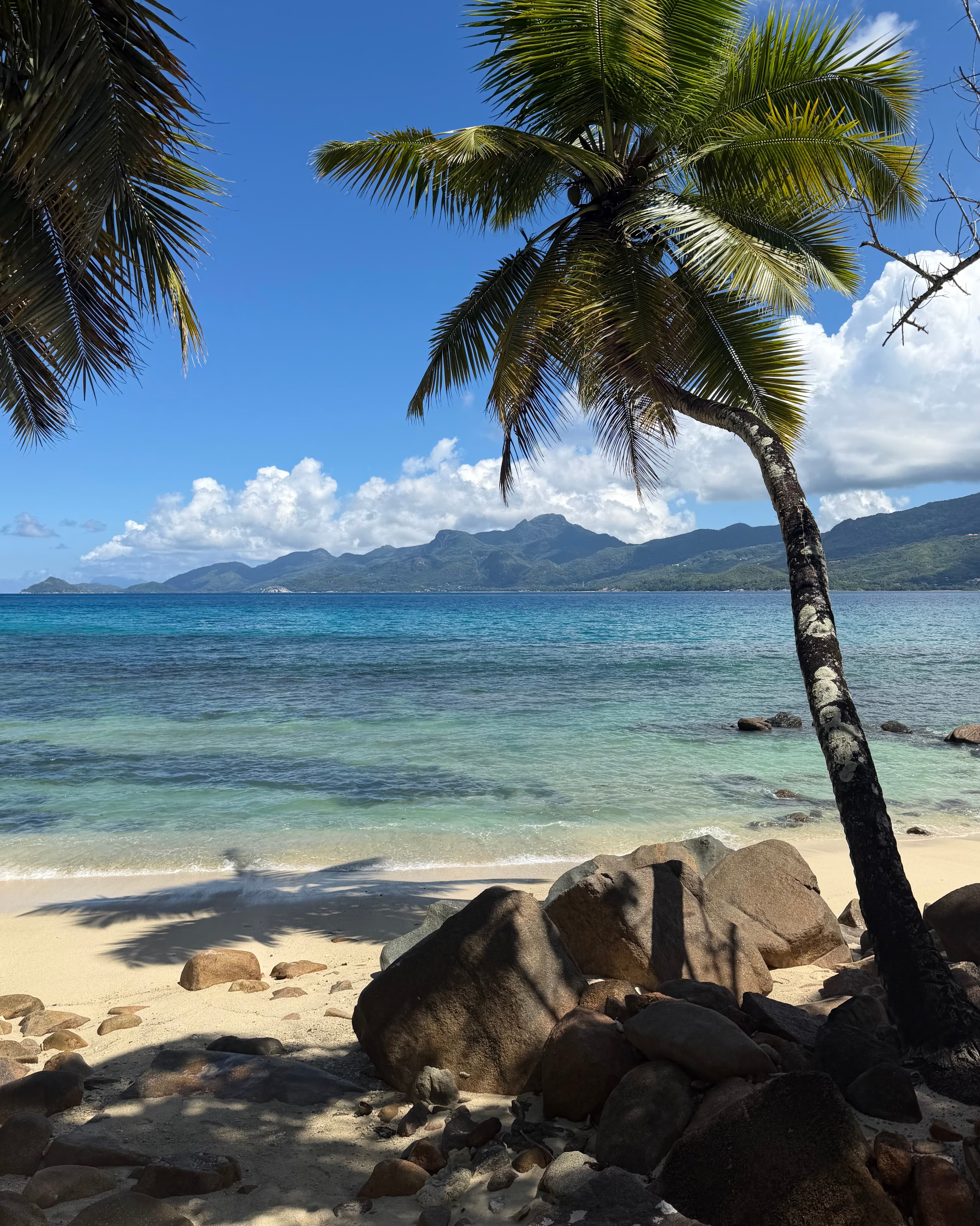 Beyond the Blue in the Seychelles: A Week in Paradise curated by Daryn Schwartz