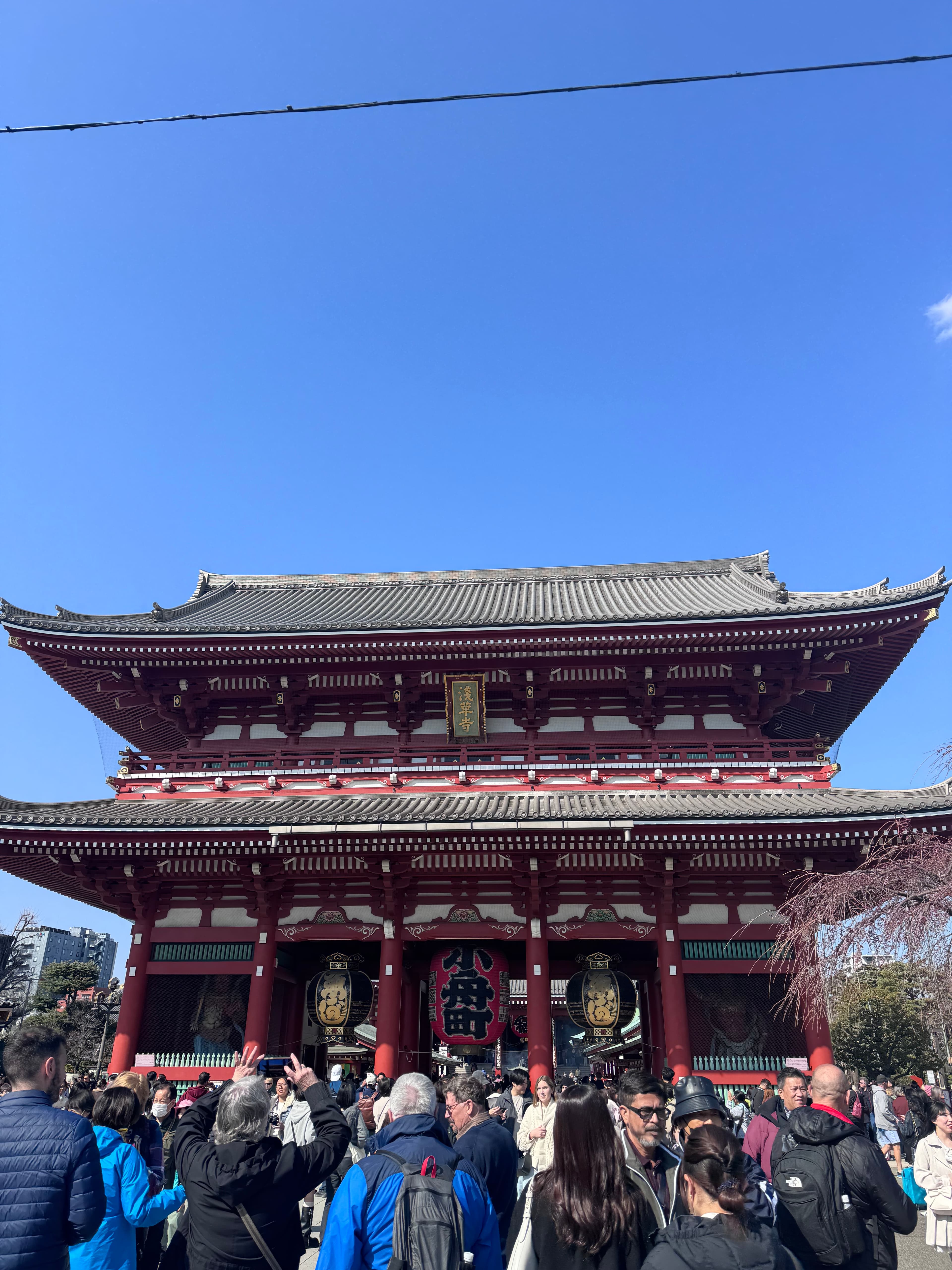 Travel photo 1