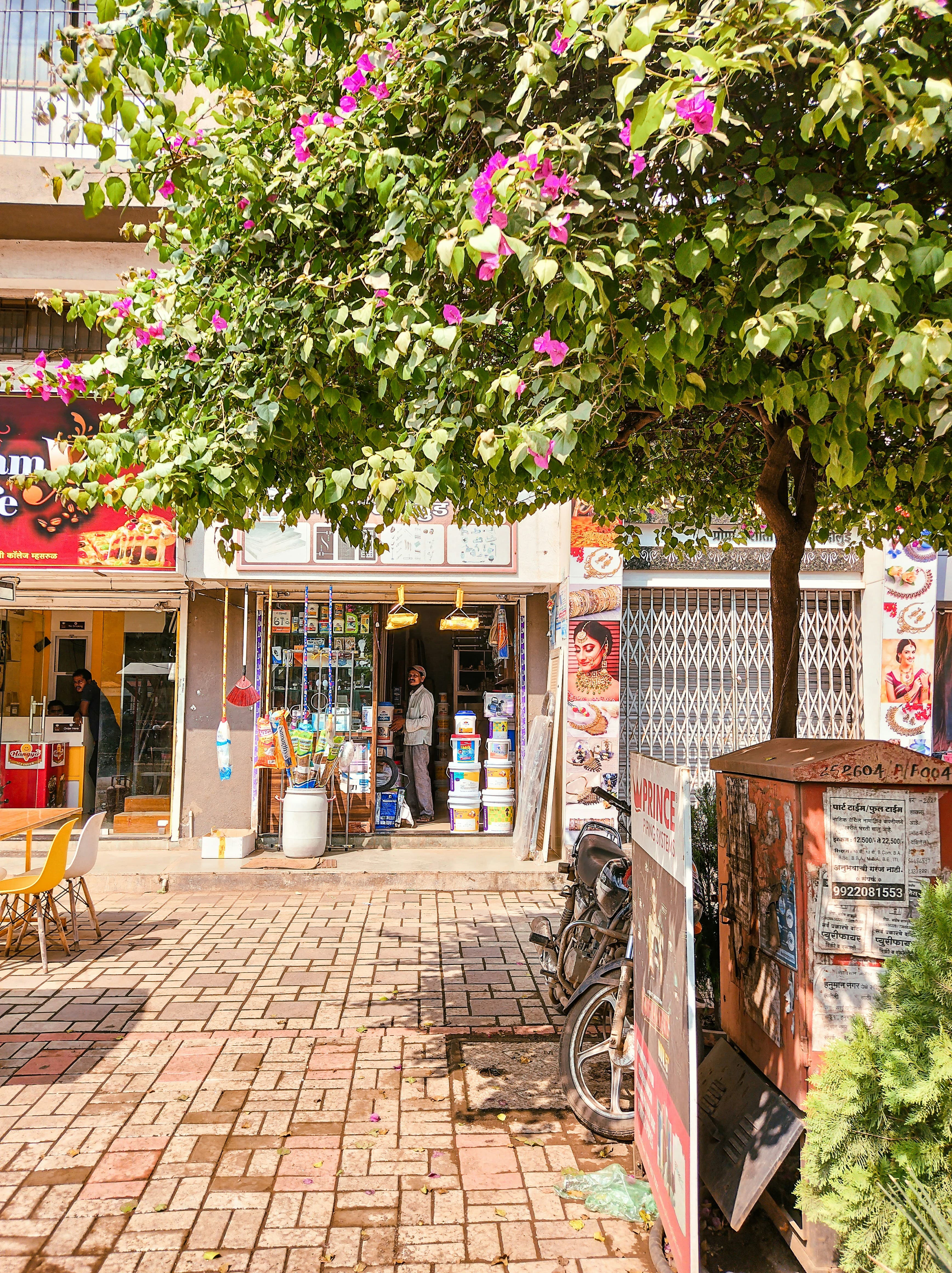 Hot Springs, Arkansas: An All-in-One, Family Fun Getaway curated by Rebecca Lubbess