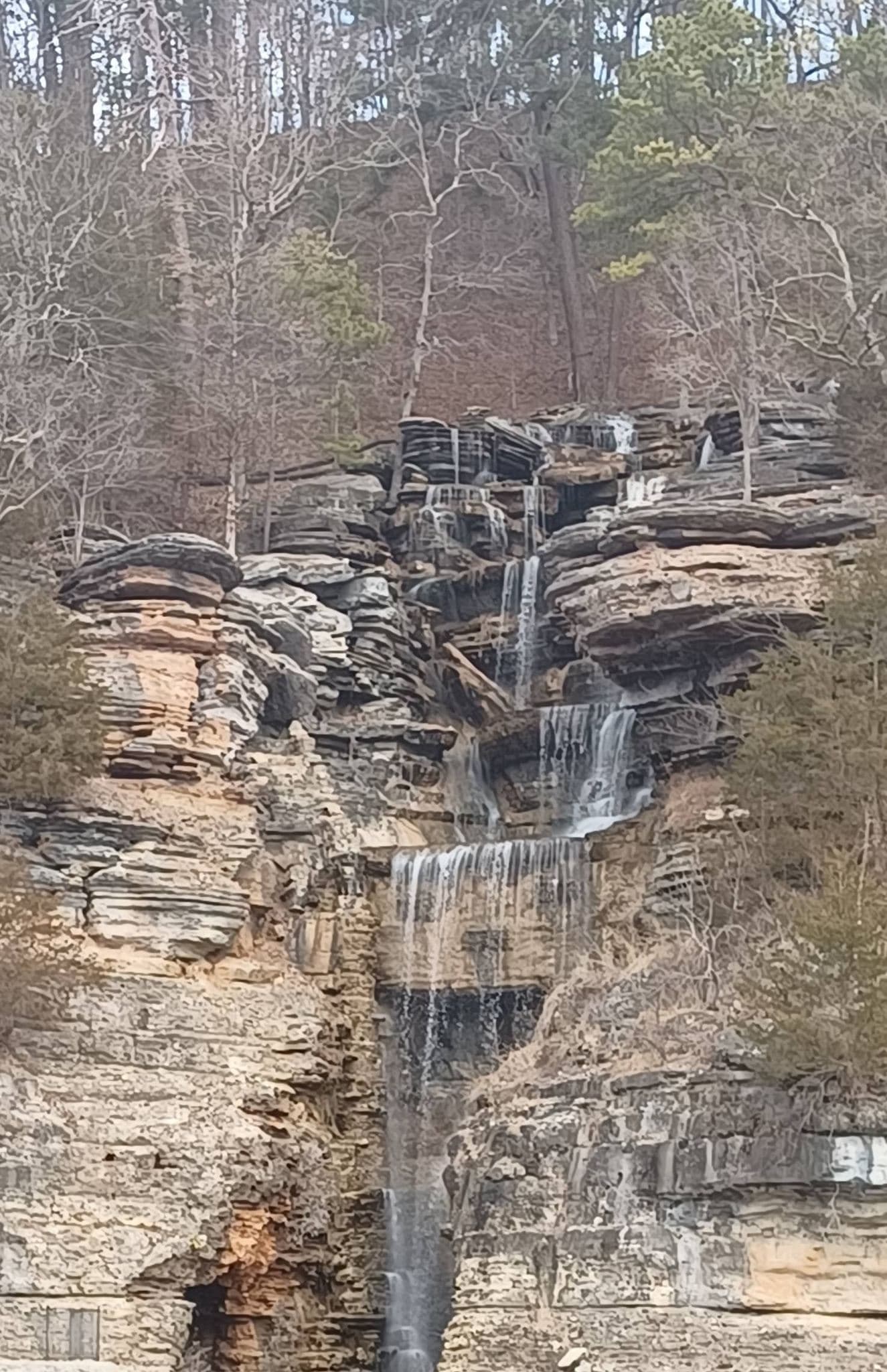 Dogwood Canyon: Where Nature Meets Adventure in Missouri curated by Rebecca Lubbess