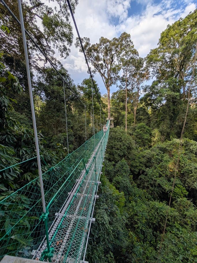 Malaysian Borneo: 11 Days of Wildlife, Rainforest & Beach in Sabah curated by Emma Fuller