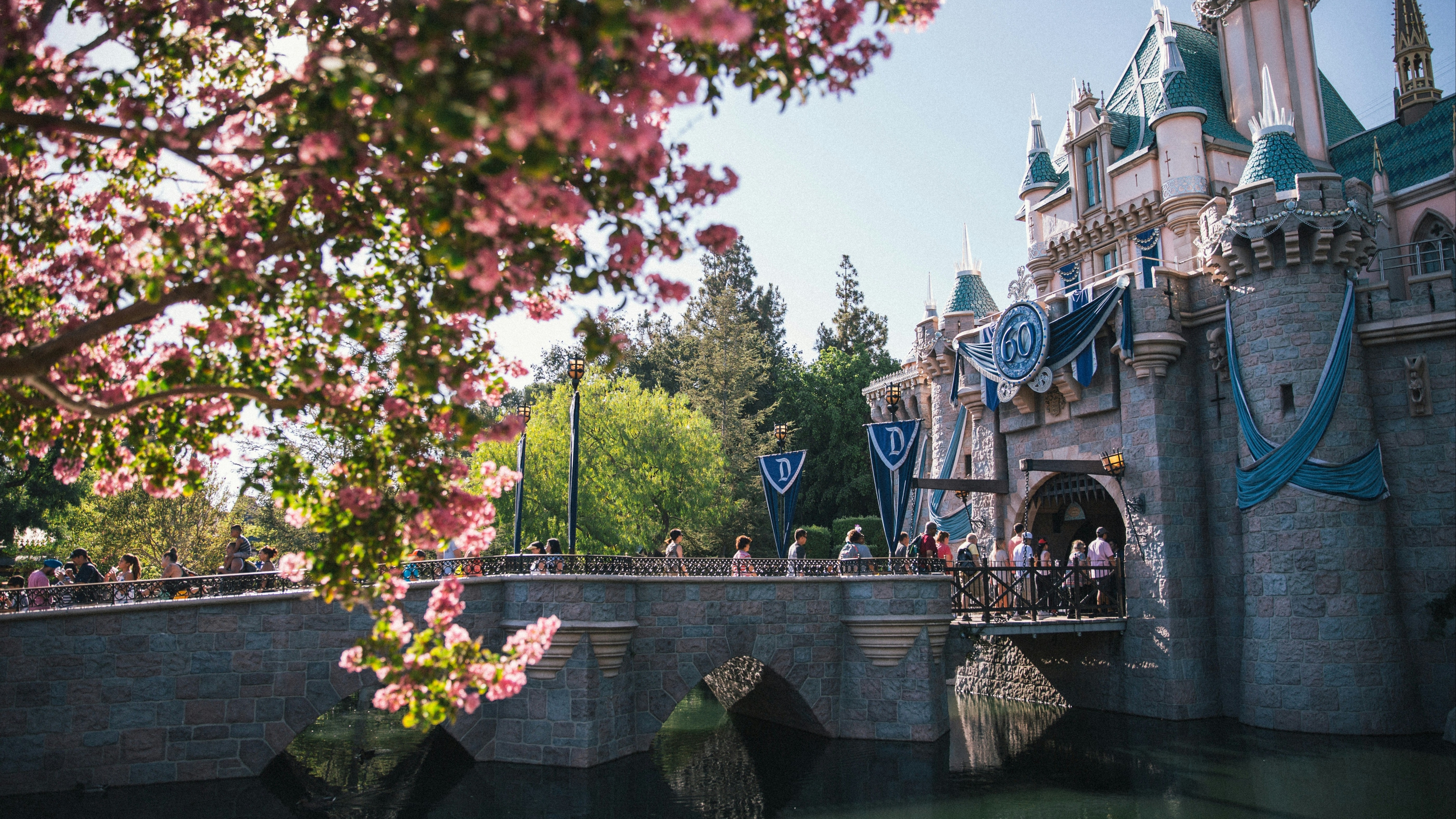 The bridge leading to Cinderella's castle at Disneyland as seen from the side, with a pink flowering tree in the foreground.