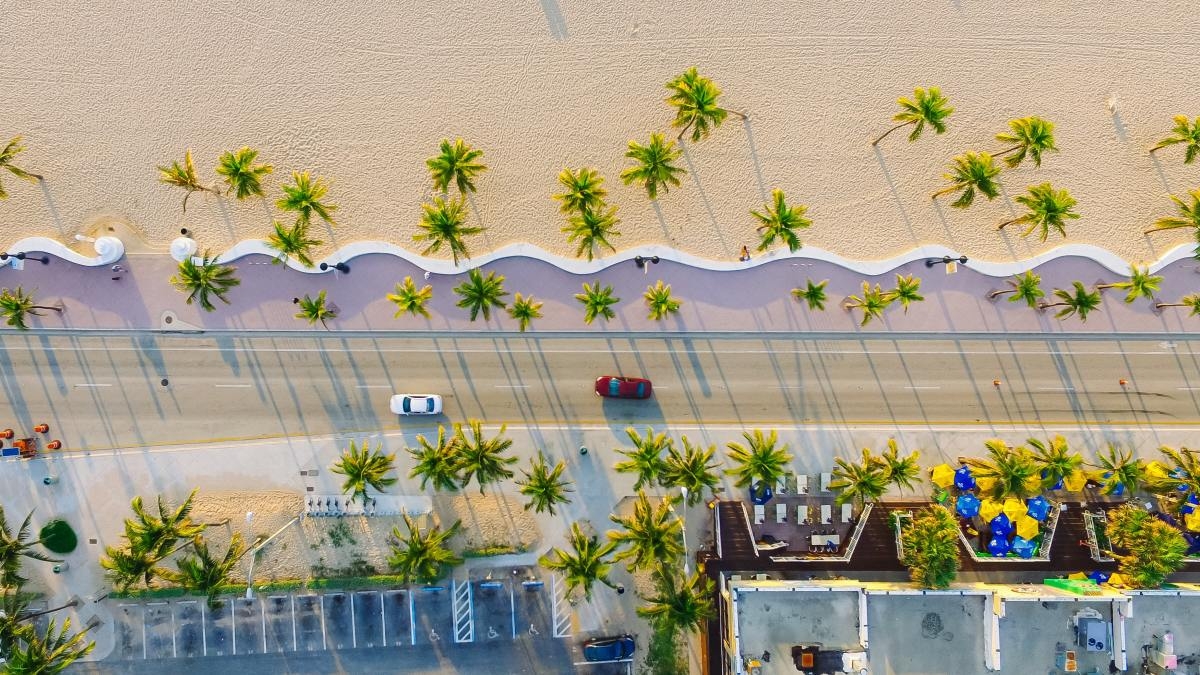 Cars driving down beachside highway lined with palm trees on a sunny day in Florida.
