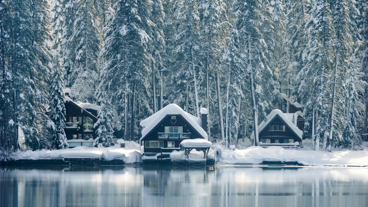 Snowy cabins and trees near a lake.