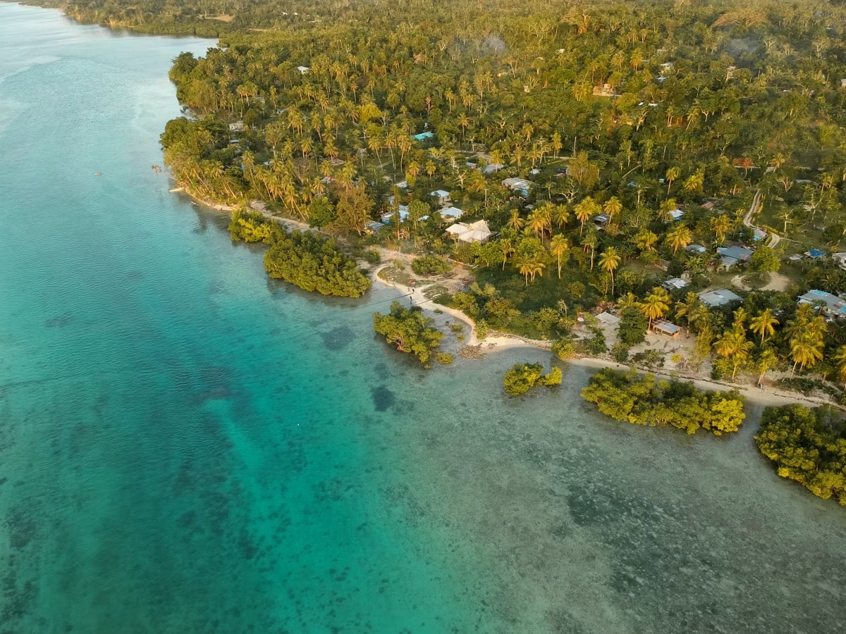 An aerial image of a shoreline covered in trees with some houses and a small beach below. The water surrounding the shore is clear and turquoise blue. 