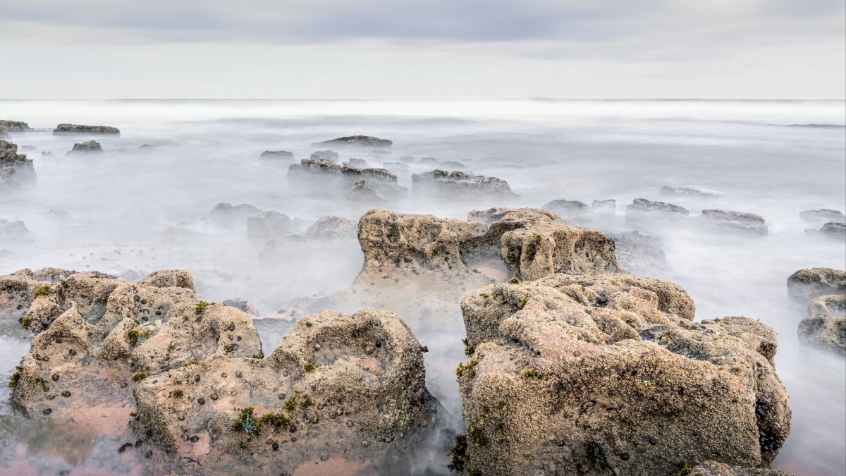 Craggy rock formations shrouded in fog.