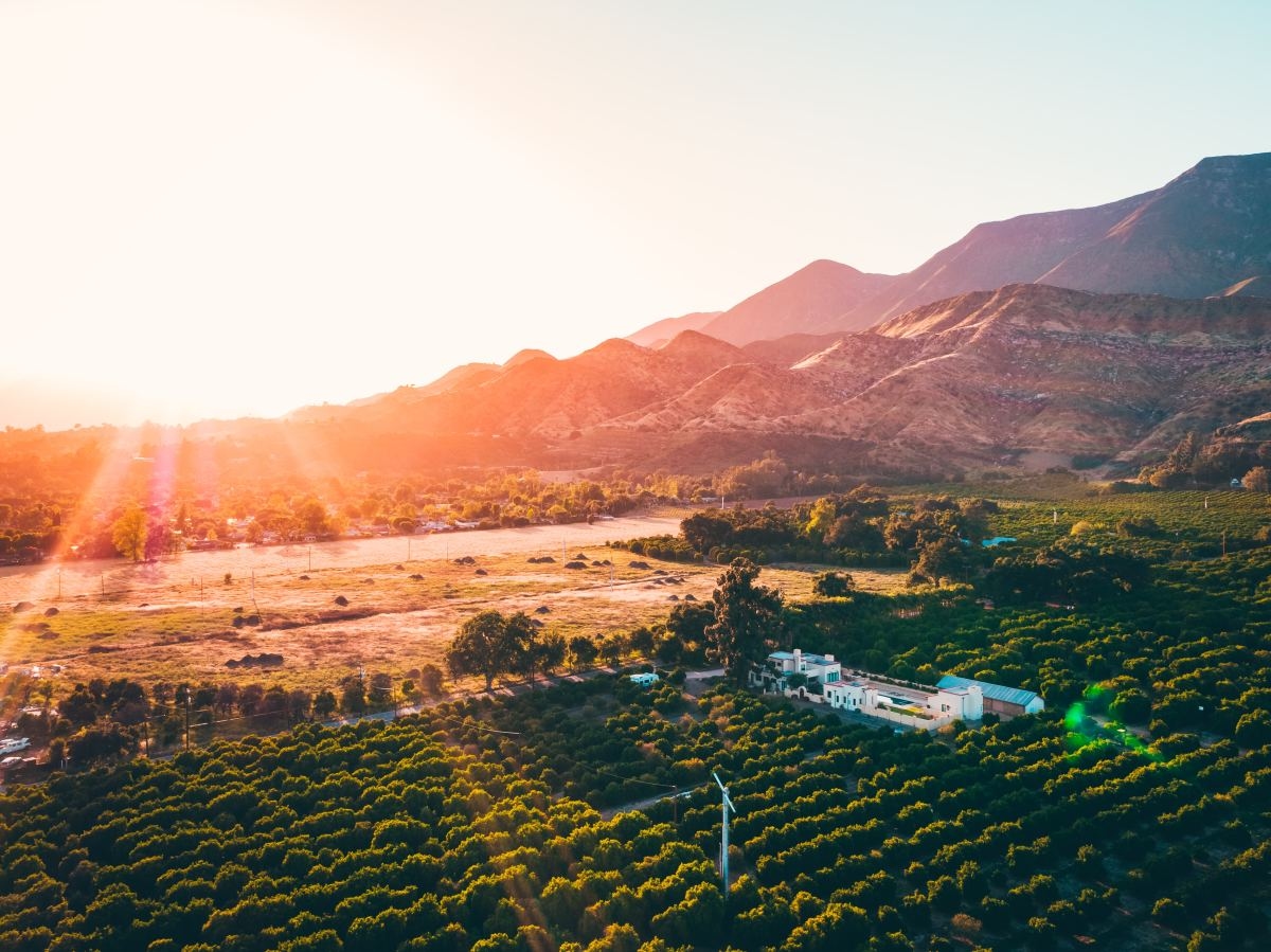 Aerial photograph of green filled and mountains.