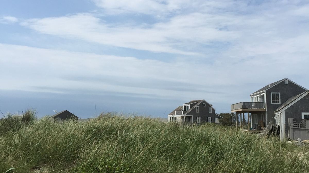 Green glass field near a row of houses on the beach.