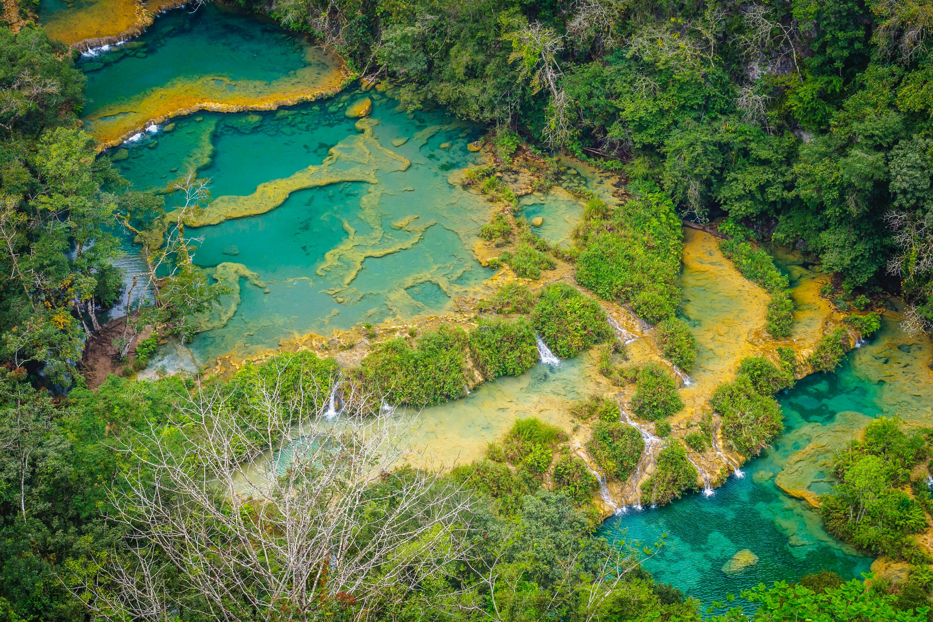 Aeriel view of clear blue water river and yellow and green shrubs and trees