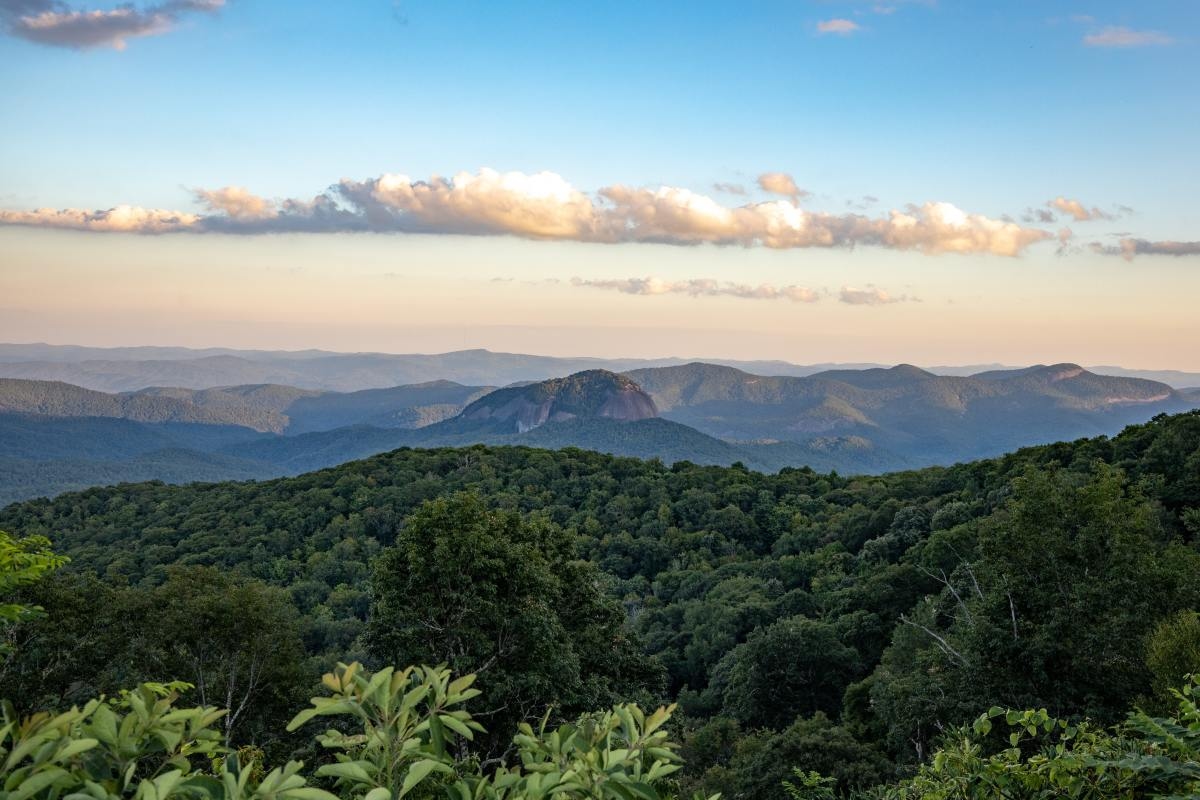 vast green mountain expanse