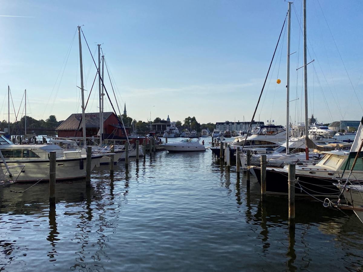 Fishing boats on bay in Annapolis on a clear day.