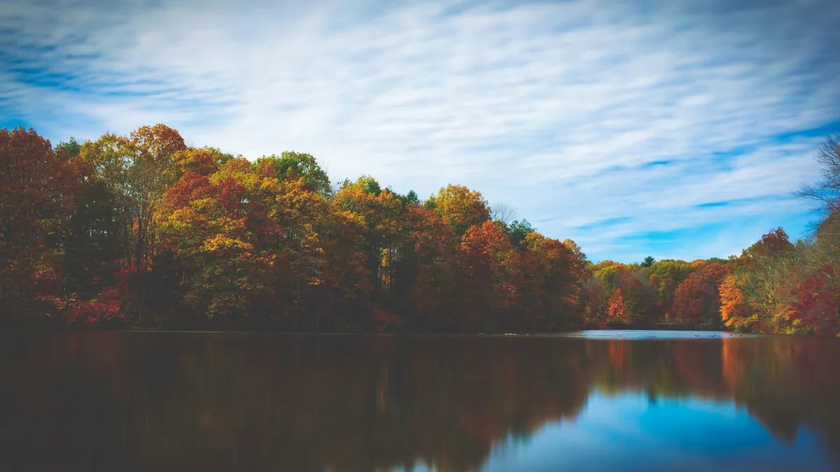 A body of water between multi-colored trees during the daytime