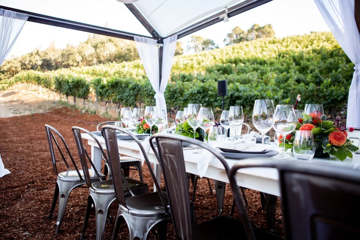 outdoor-restaurant-napa-valley-travel-guide