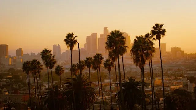 Palm trees in front of a city skyline during a sunrise