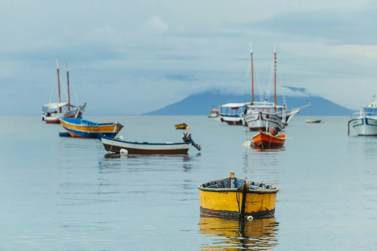 Colorful boats in the sea during the daytime