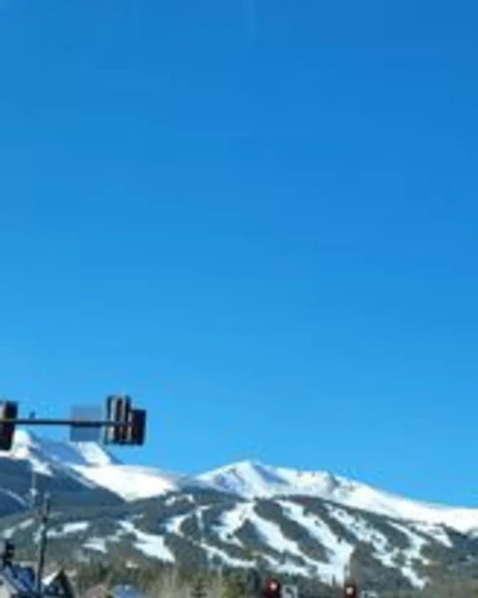 A traffic light with snowy covered mountains in the distance under a clear blue sky