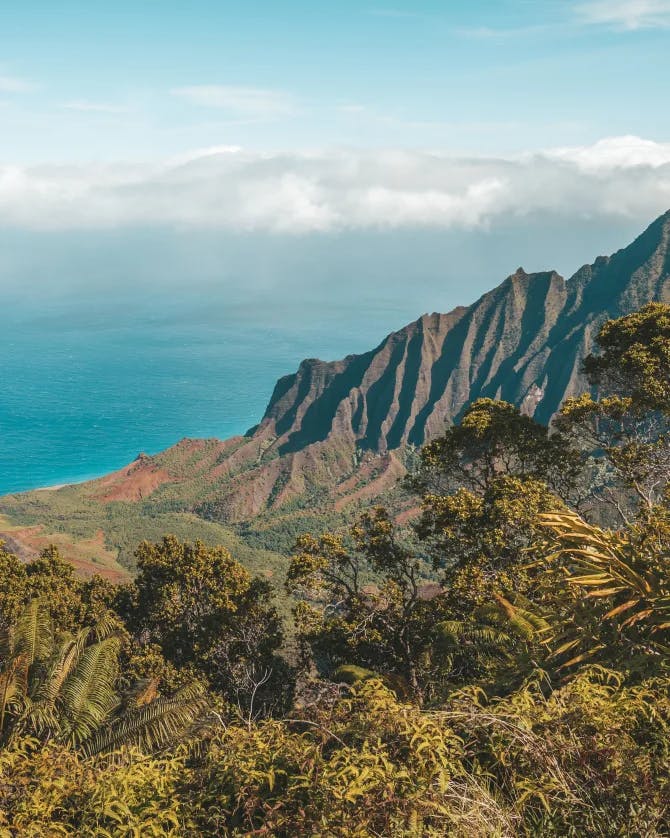 Kalalau Lookout point for picturesque panoramas over the Kalalau Valley & the ocean.