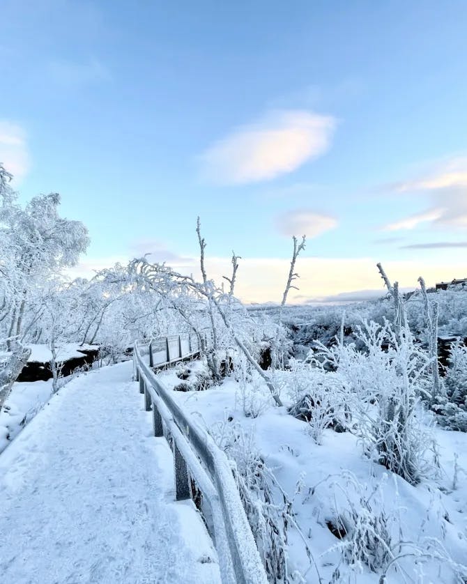 snow pathways