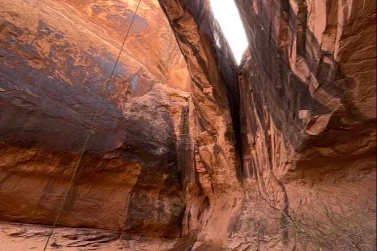 A picture of morning glory arch during the daytime.