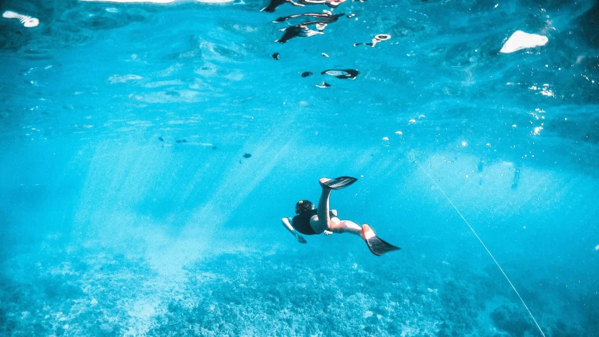 An underwater shot of a person snorkeling.