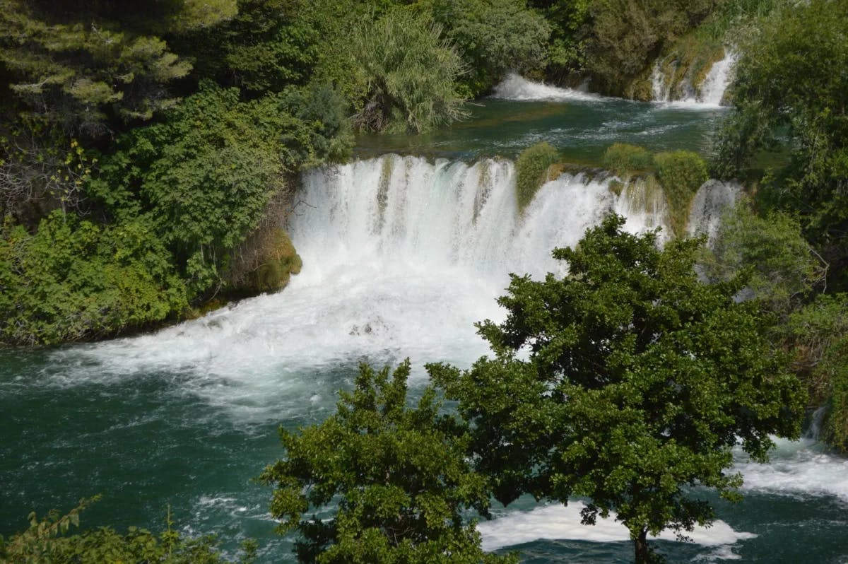 A waterfall between trees.