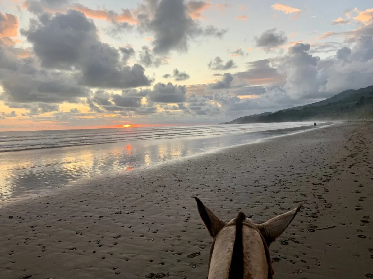 A peaceful horseback ride on the beach at sunset, capturing the beauty of nature