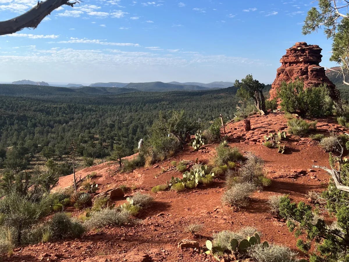 A view of red rocks and terrain with various green shrubs and plants. There is also a view of mountains and various trees in the canyon-like distance. 