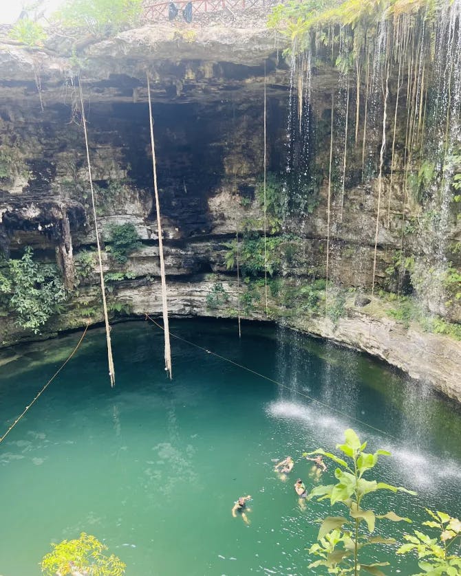 Beautiful view of an empty cenote with vines and a small waterfall reaching down towards the water