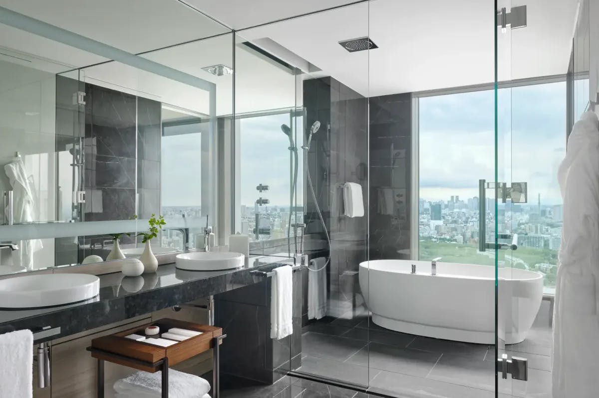 a glass-walled hotel-room bathroom with floor-to-ceiling windows overlooking a city park below